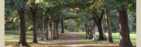 BramleyGood's profile banner image