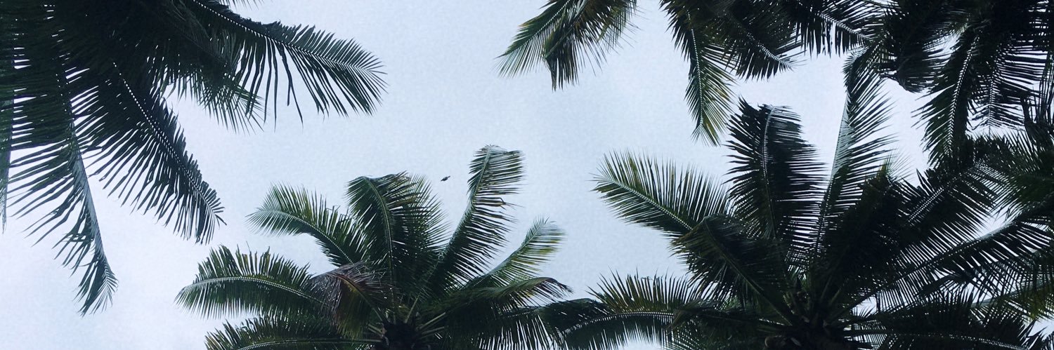 imkrishamary's profile banner image