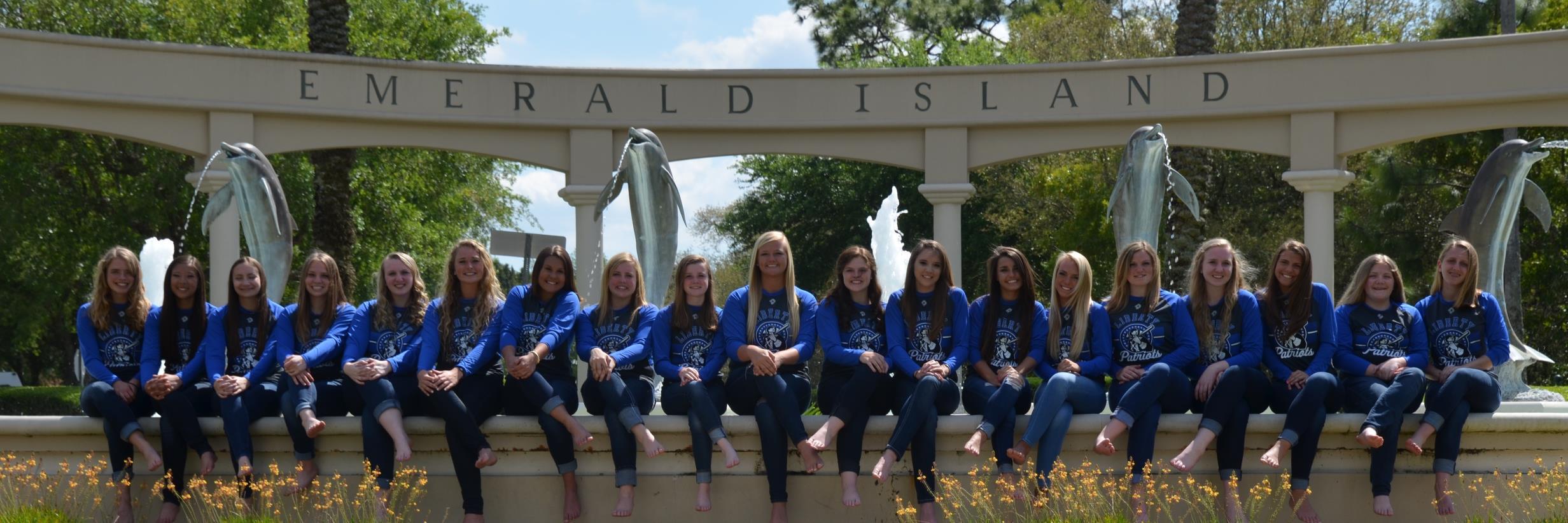 OLHS Softball banner
