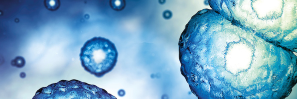 AmplyCell's profile banner image