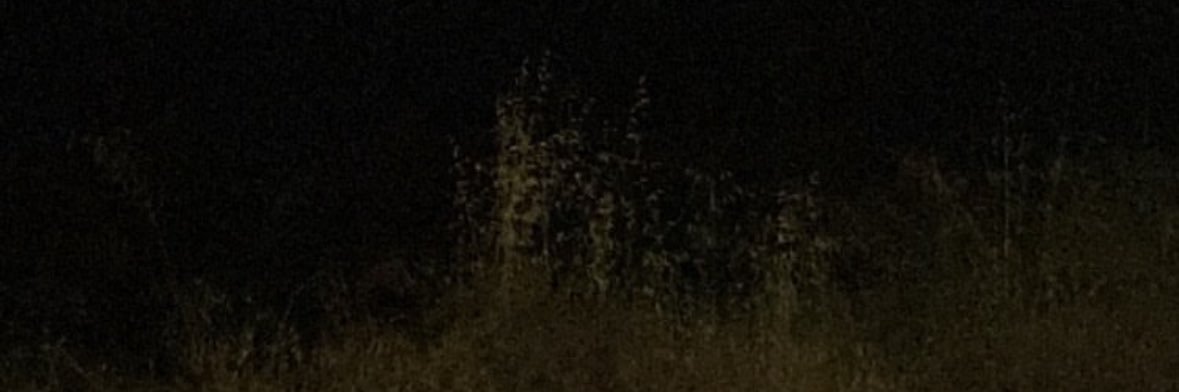 nucviu's profile banner image