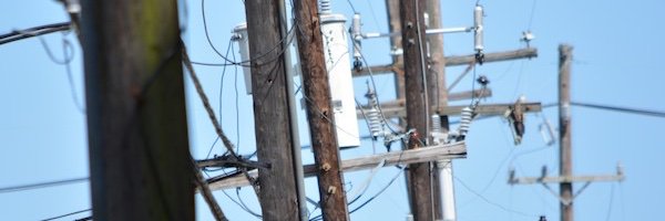 nicholas mainieri banner