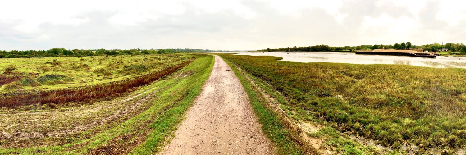 Daniel Gallan banner