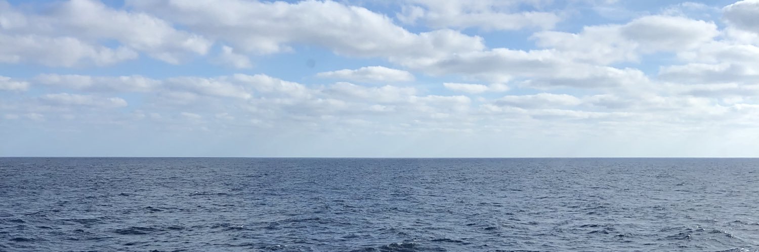 NHSarahinterim's profile banner image