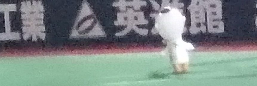 柚規 banner