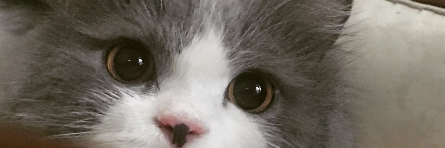 drez1214's profile banner image