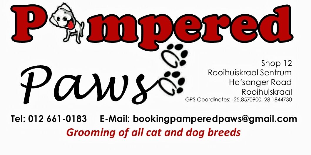 Pampered__Paws's profile banner image