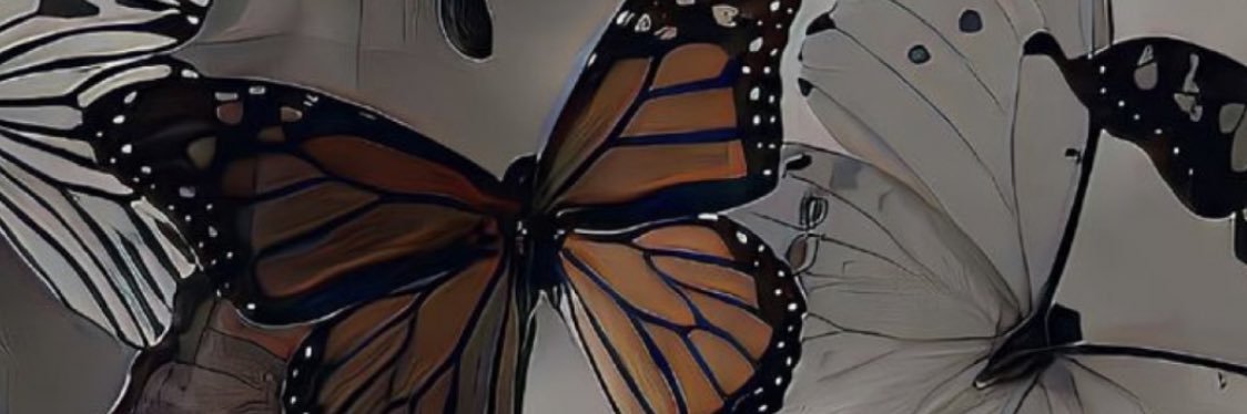 pcndlve's profile banner image