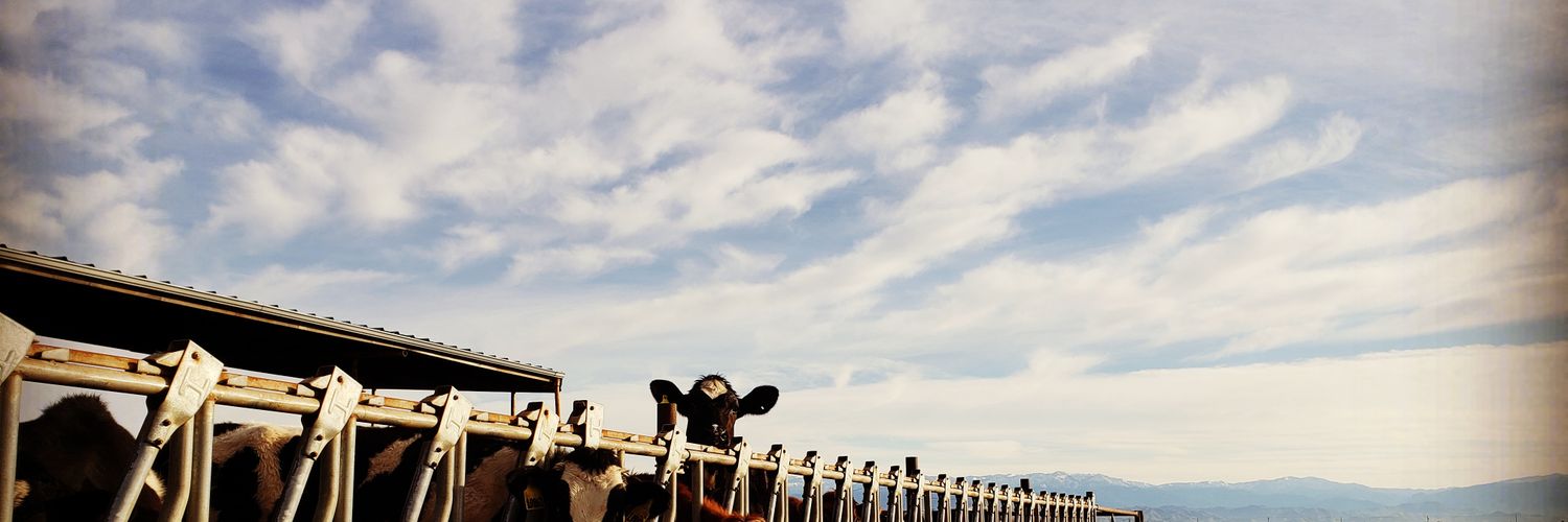 heal_thy_cow's profile banner image