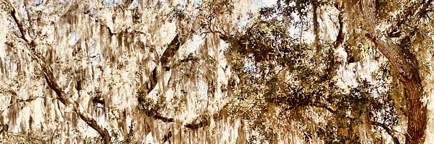 RasheemFord's profile banner image