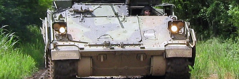 Stupid Turtle 🇺🇸 banner