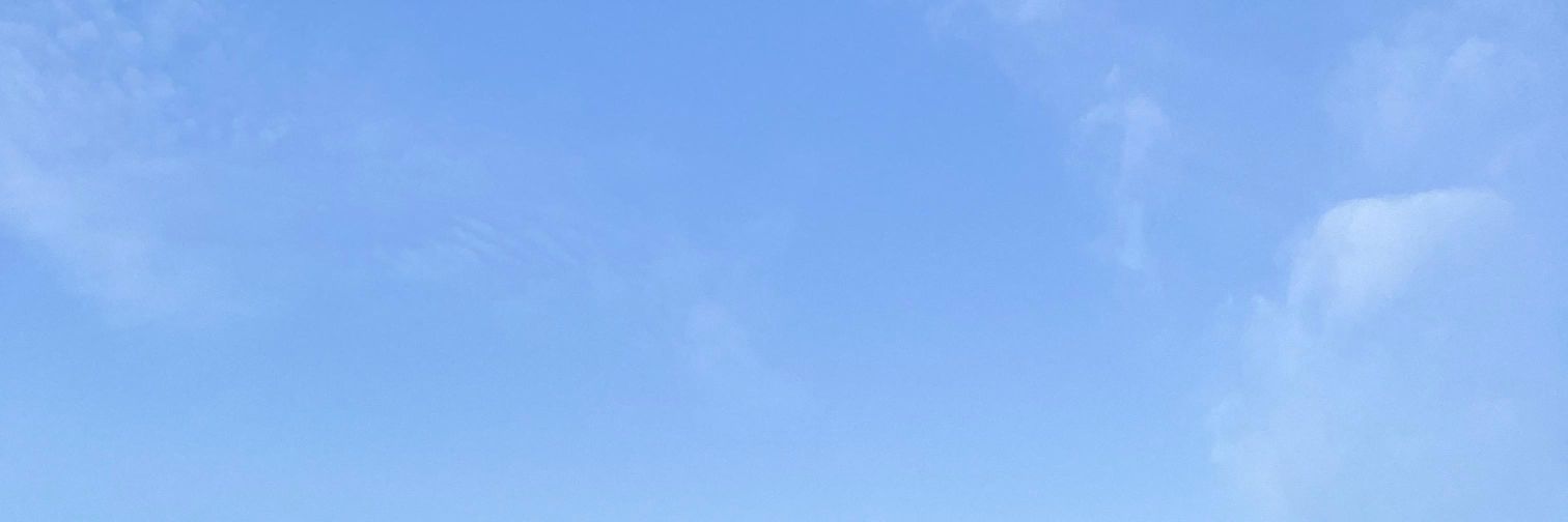 Lizaa banner