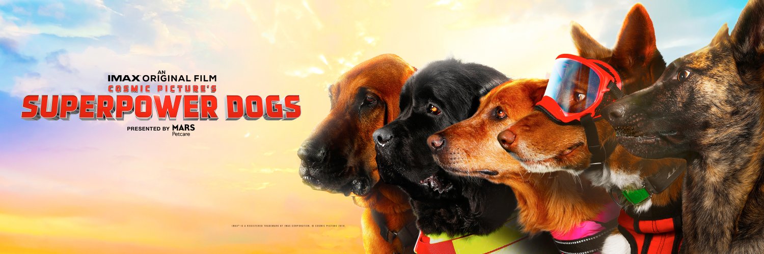 SuperpowerDogs's profile banner image