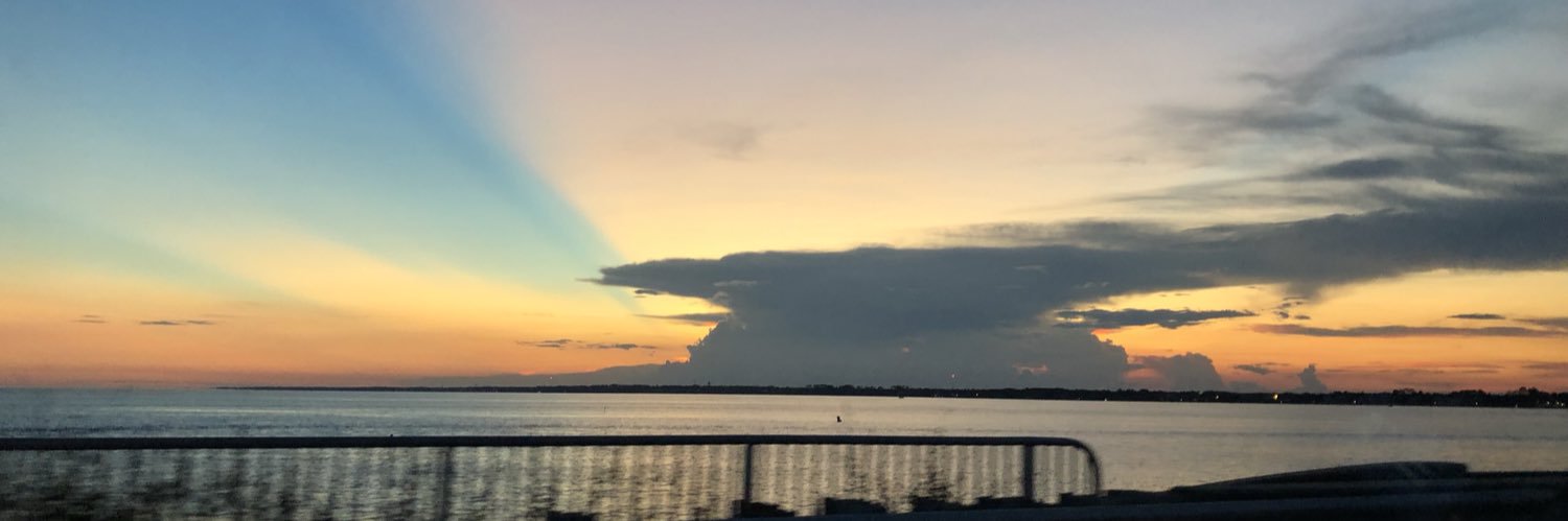 38e4cfbdcc51410's profile banner image