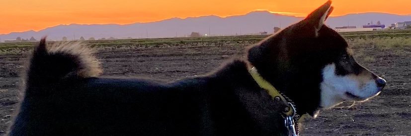 akisanpower's profile banner image