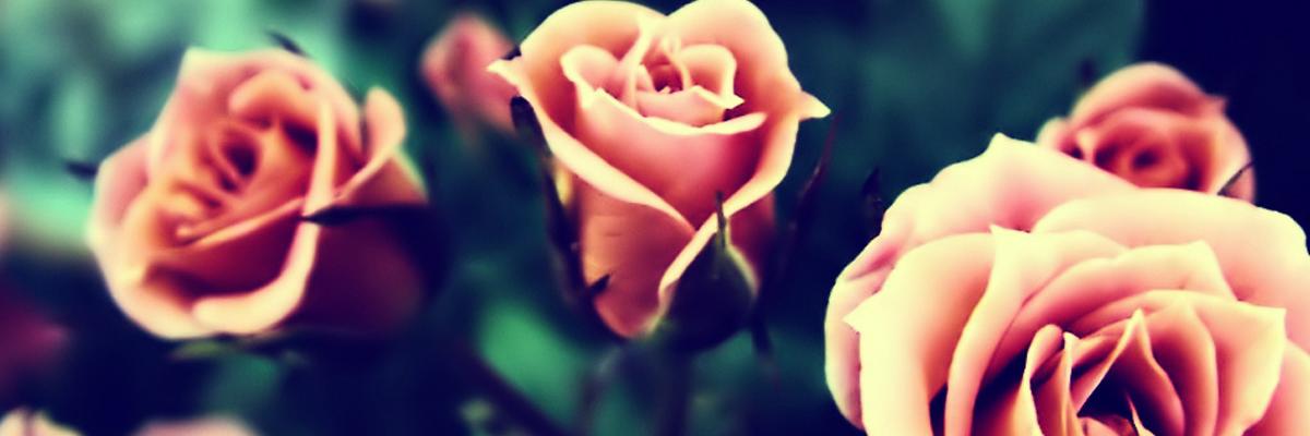 ecjlib's profile banner image