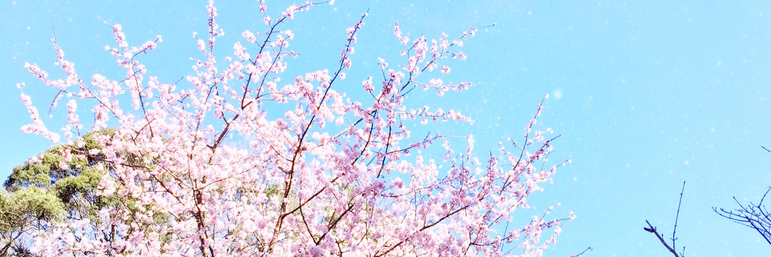 alittlestarin's profile banner image