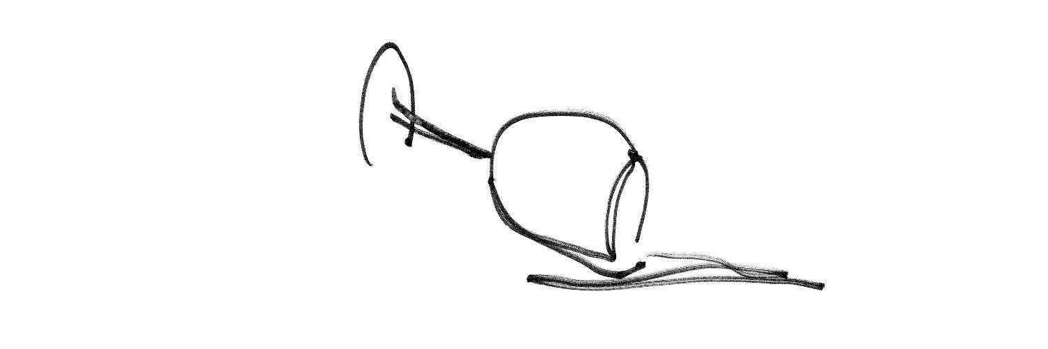 A_Ayscough's profile banner image