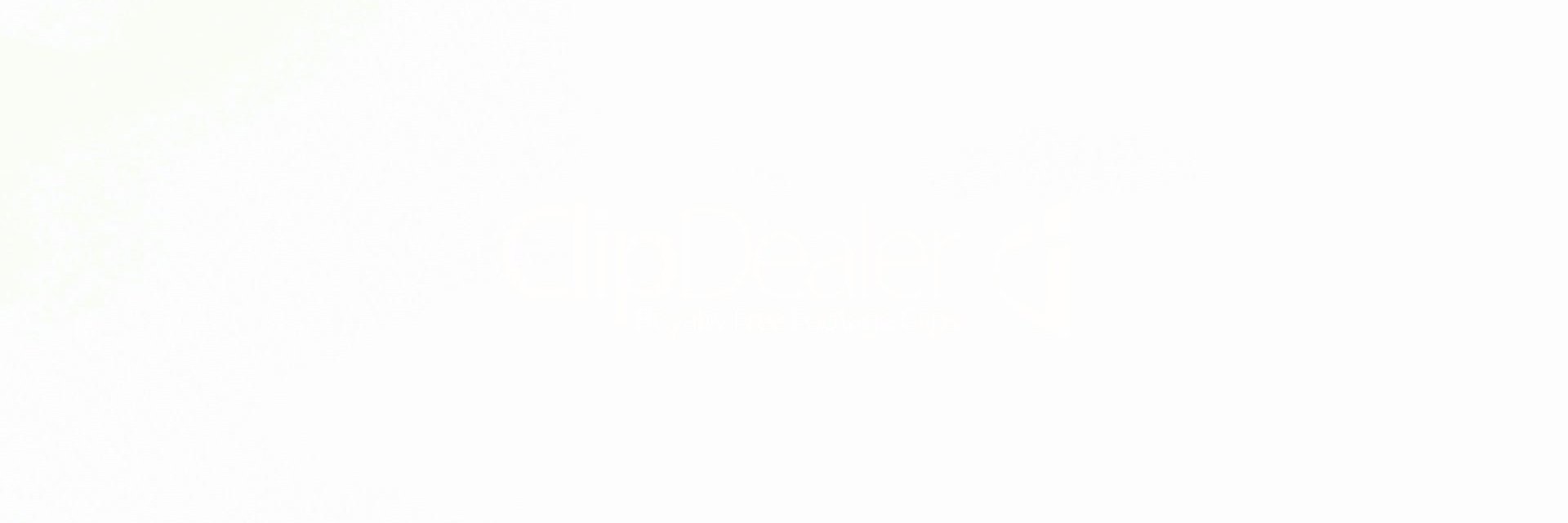 ninjdobrev's profile banner image