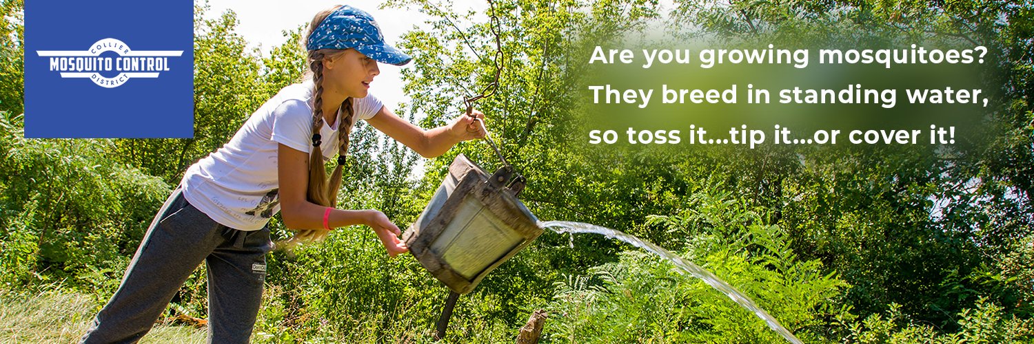 Collier Mosquito banner