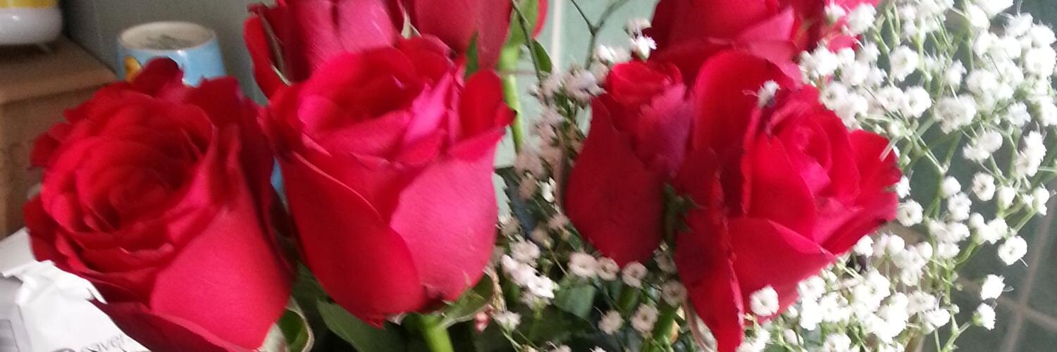 HannahLSmith101's profile banner image