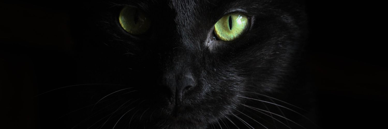 johnson2004001's profile banner image