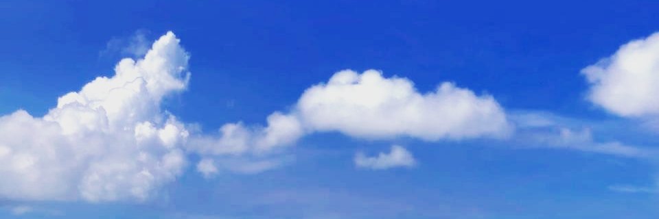 catguzmand24's profile banner image