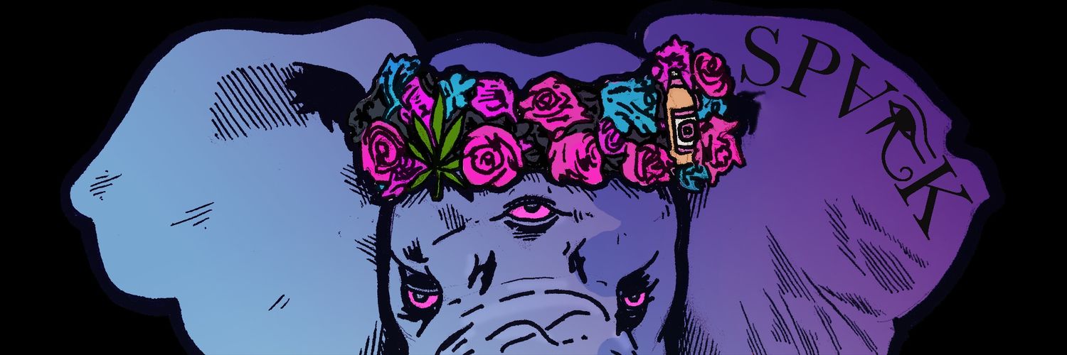 spvrkup's profile banner image