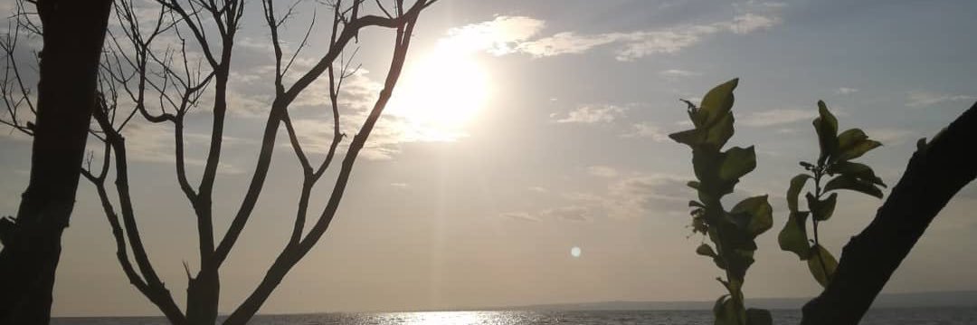 Peris Gachahi banner