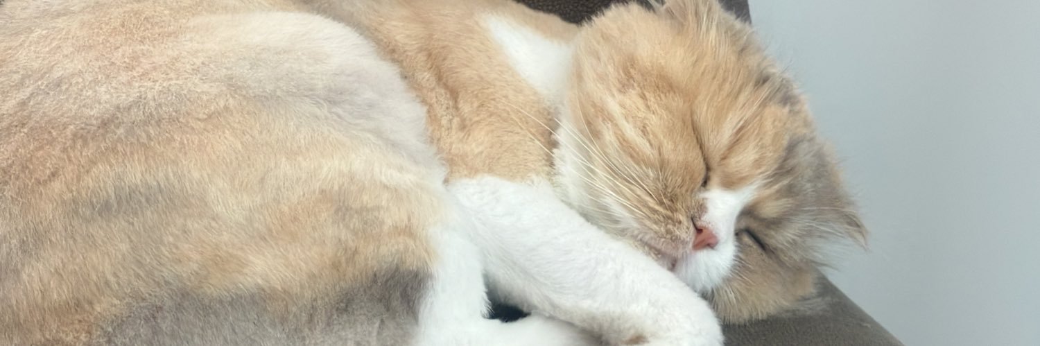 melikegsff's profile banner image