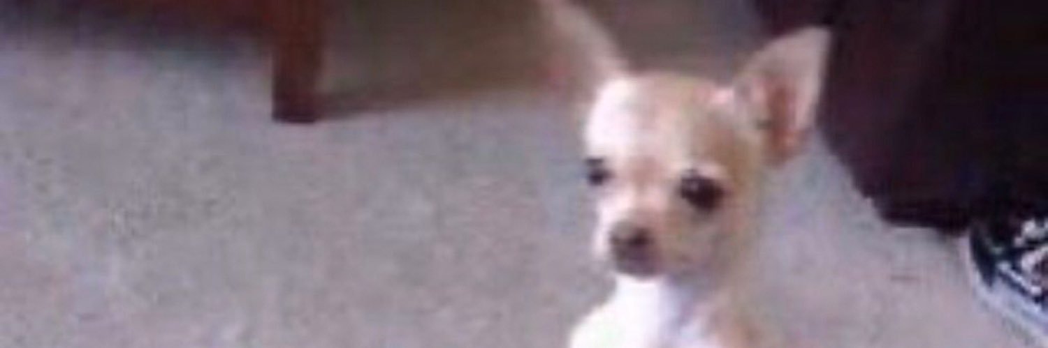 chobmugrob's profile banner image