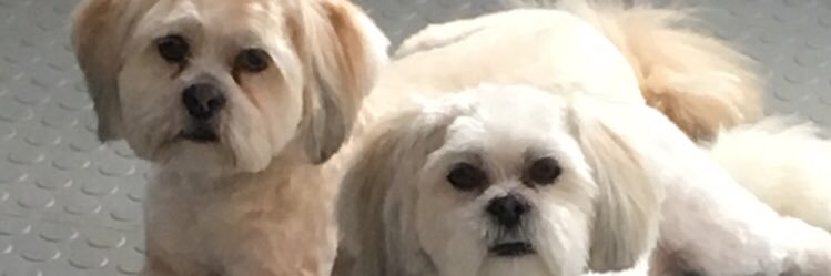 jennythompson91's profile banner image