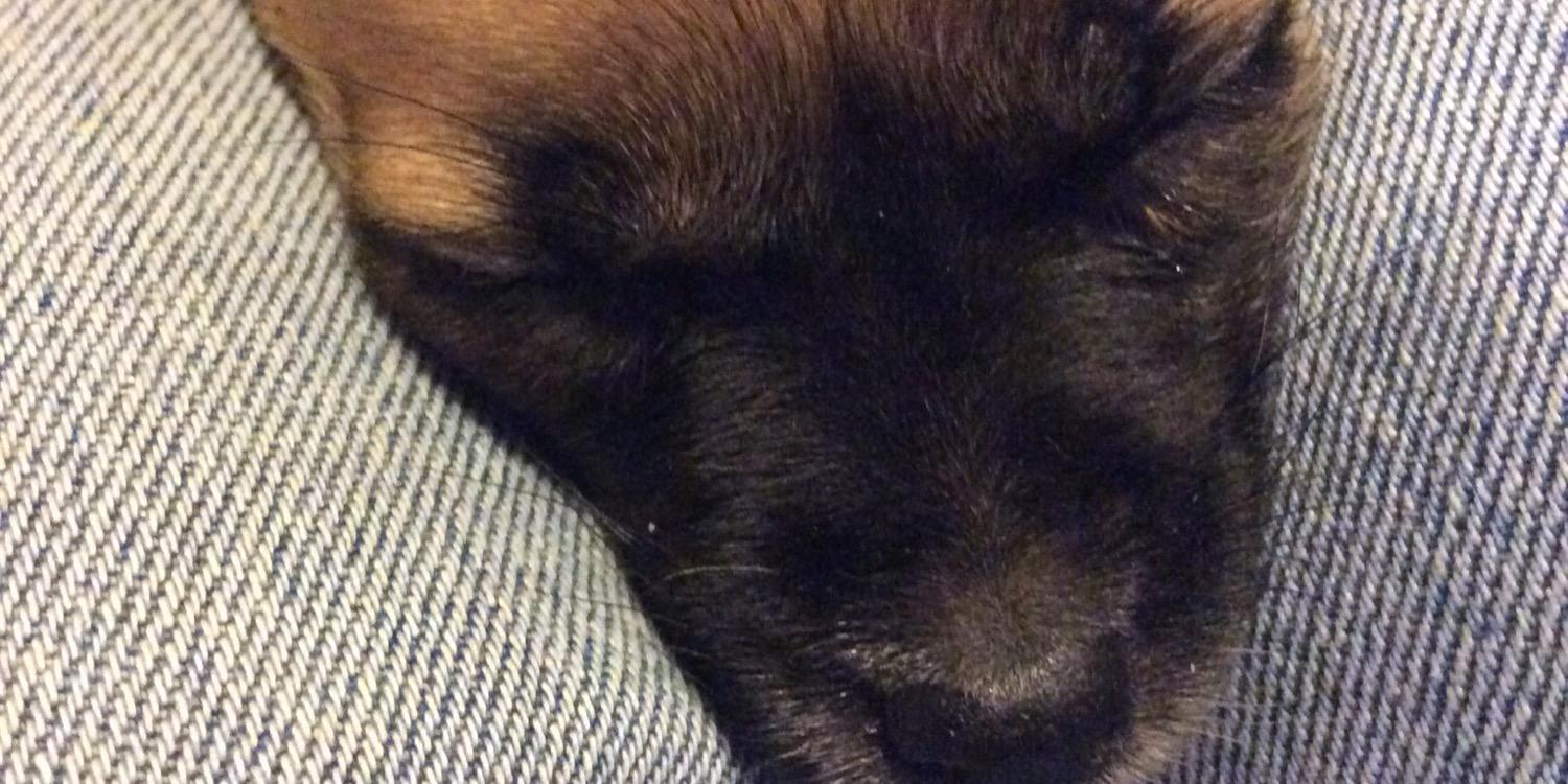 la insoportable levedad del ser banner