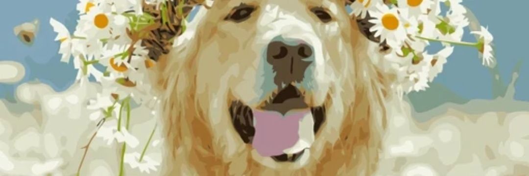hayall02's profile banner image
