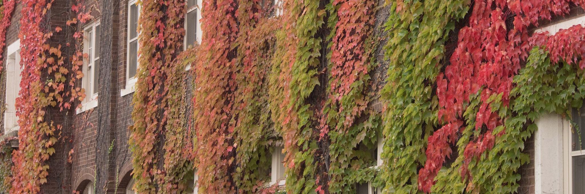 UMN Writing Studies banner