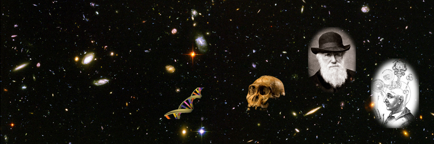 HenningEngeln's profile banner image