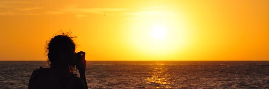 Ms_croquette's profile banner image