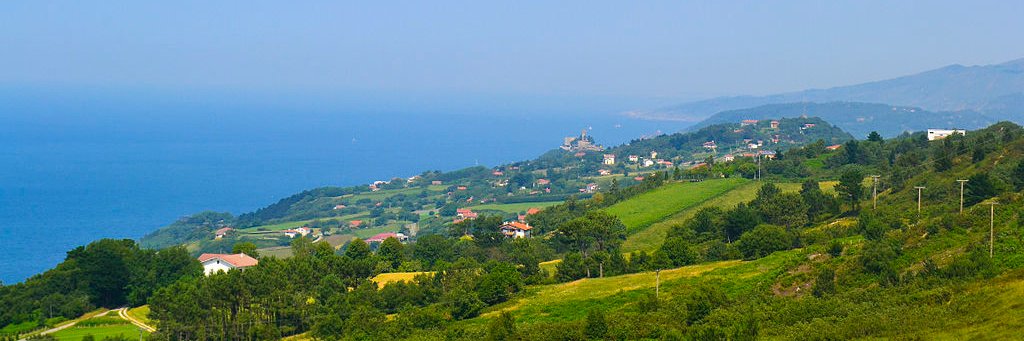 aratzo1's profile banner image
