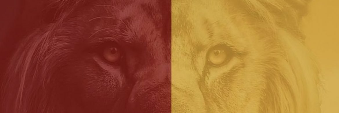Sadokuka's profile banner image