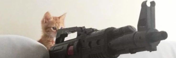 zaminnz's profile banner image