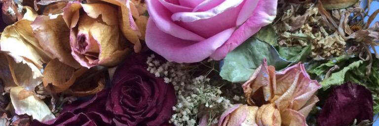 ThePaperHouse's profile banner image