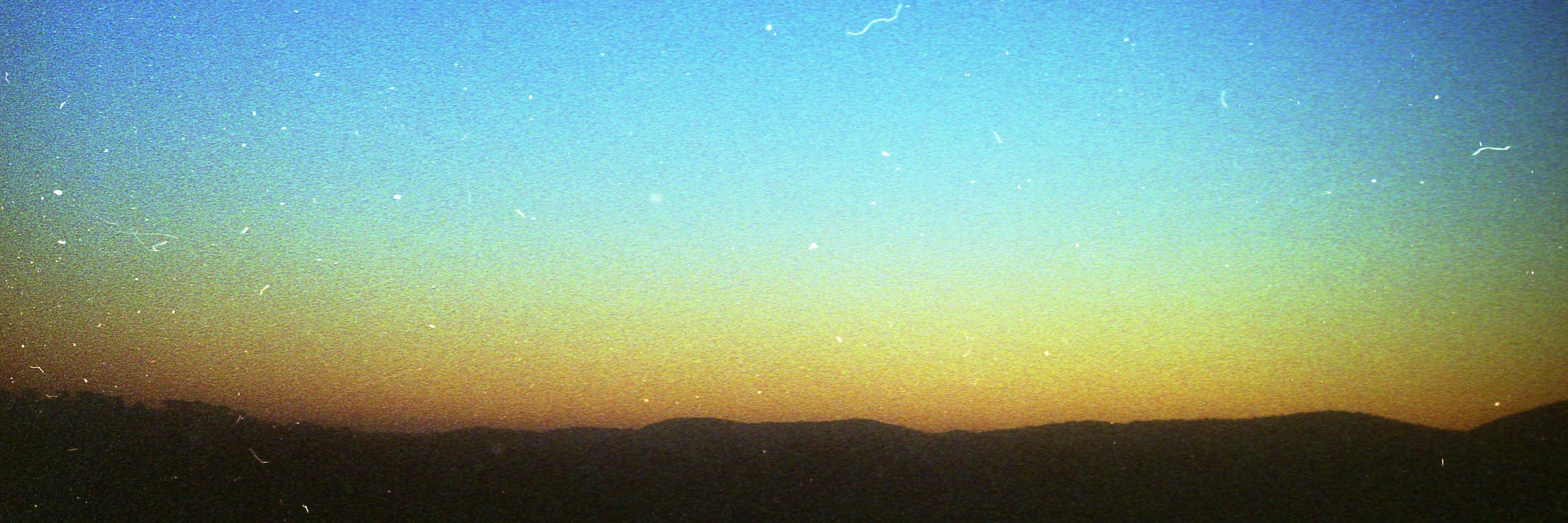 Miles Martignoni banner