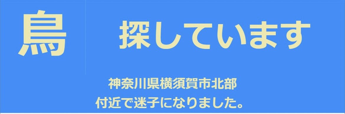 satomipo0519's profile banner image