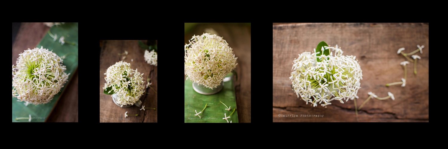 SaiPriya_lp's profile banner image