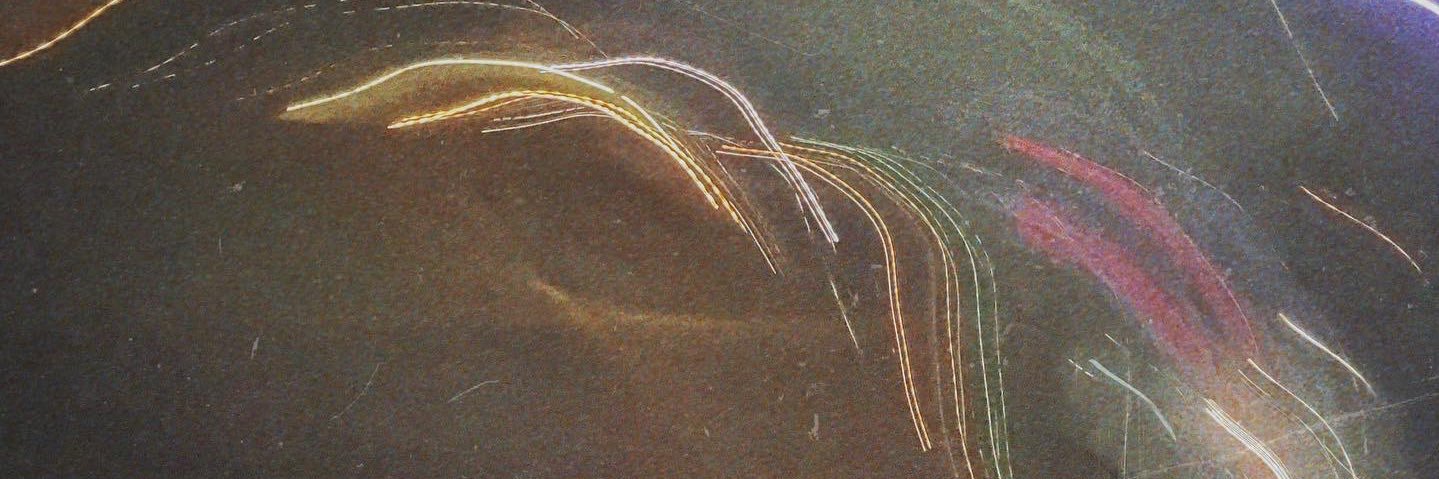 somewildthing_'s profile banner image
