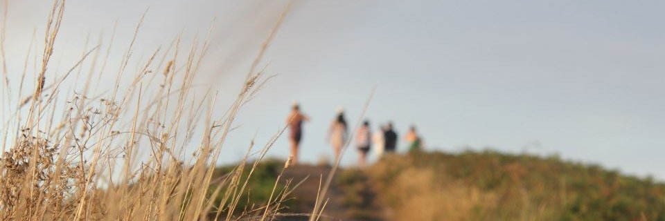 Caand3la's profile banner image