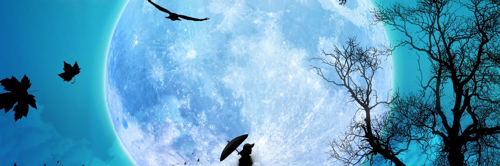 Lua9803's profile banner image
