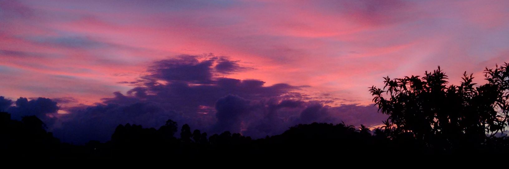 Elianisl_'s profile banner image