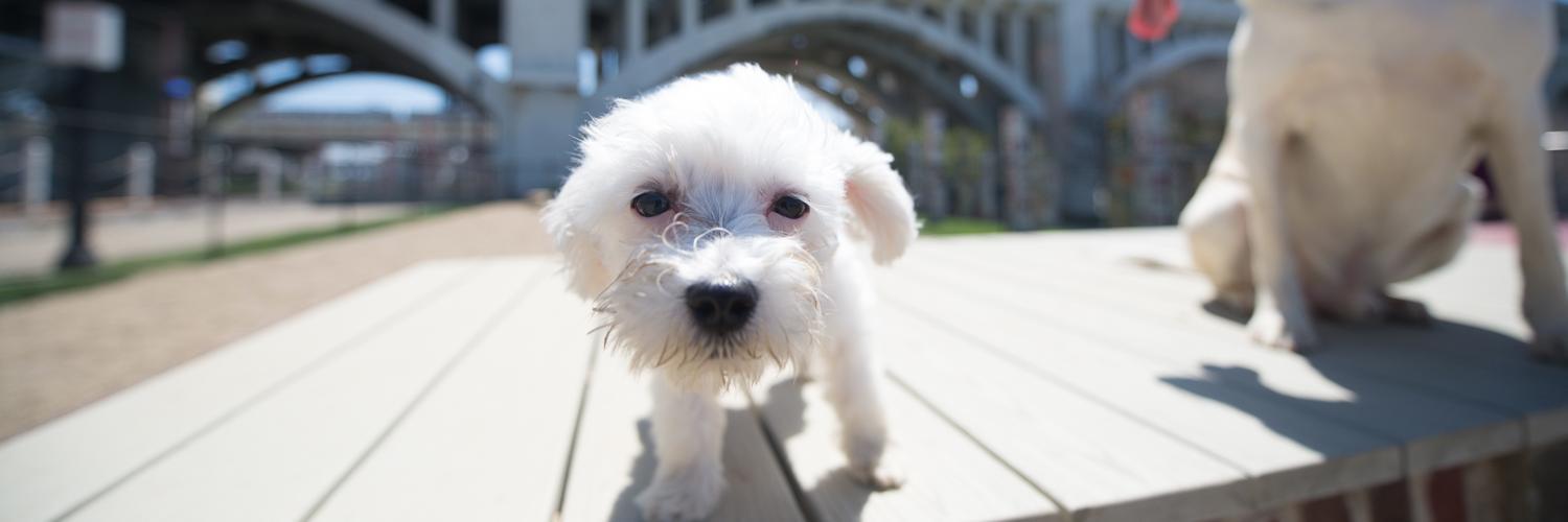 dtCLEdogpark's profile banner image