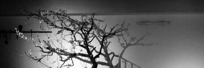 8TEEZ — 𝑯𝑨𝑹𝑼, 서 banner